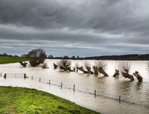 De staat van ons klimaat. Klimaatverandering wereldwijd zichtbaar.